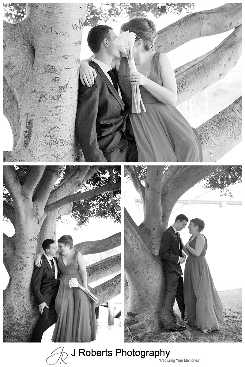 Couple kissing in a tree at blues point reserve - sydney wedding photography 